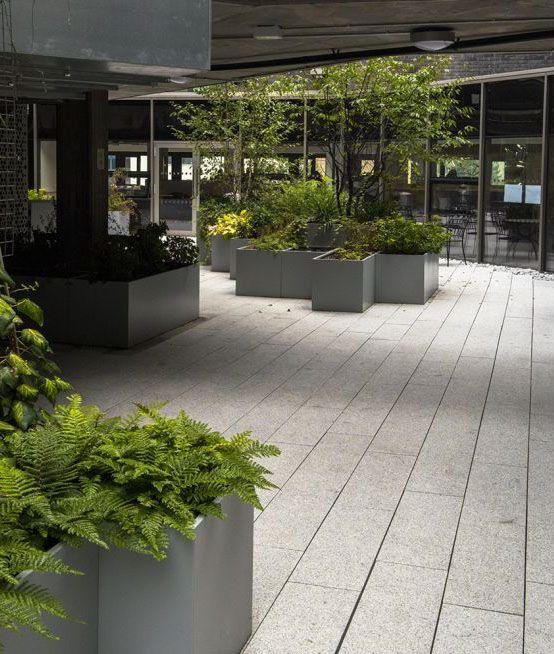 Fiber Saksılar ile Gizli Alanlar Oluşturun